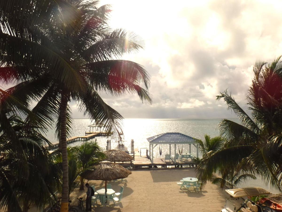 Pura Vida Inn Caye Caulker Extérieur photo