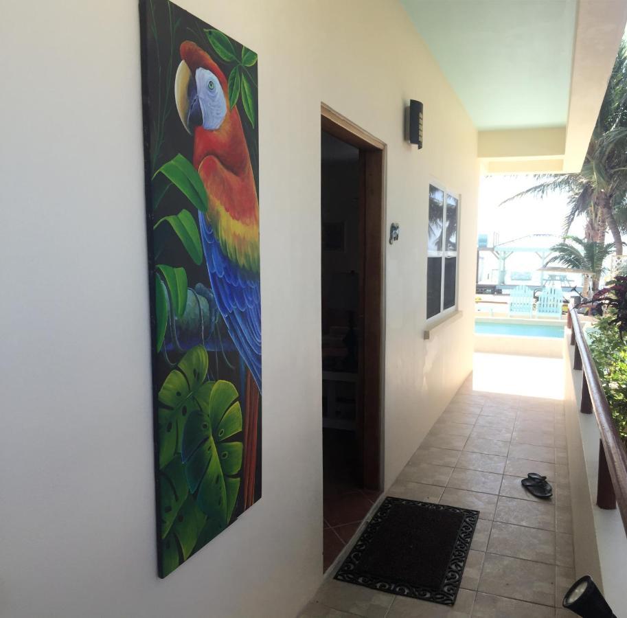 Pura Vida Inn Caye Caulker Extérieur photo